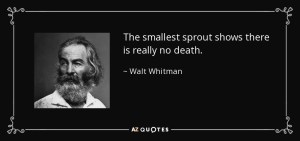 quote-the-smallest-sprout-shows-there-is-really-no-death-walt-whitman-79-83-41