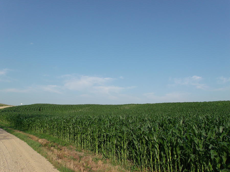 dirt-road-cornfield-brian-maloney